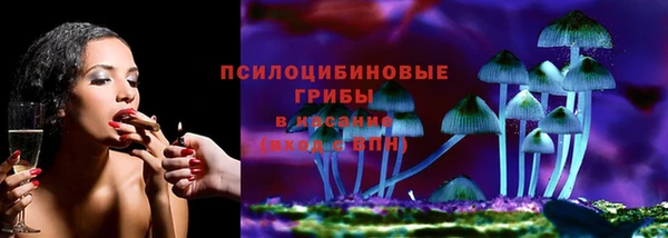 apvp Алзамай