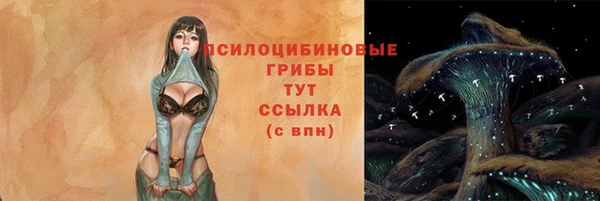 apvp Алзамай