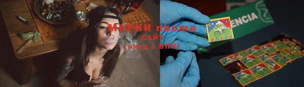 apvp Алзамай