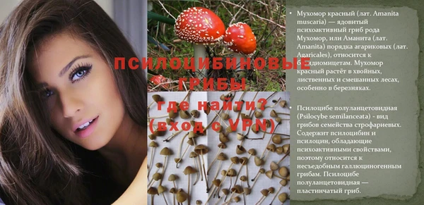 СК Алексеевка