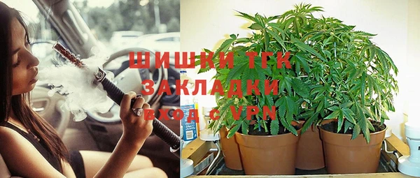 прущие крисы Алексин