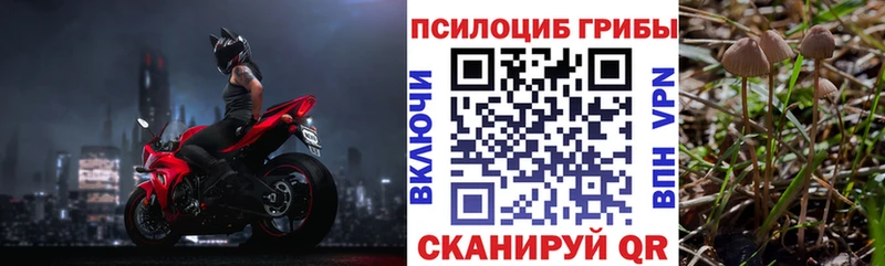 Галлюциногенные грибы Magic Shrooms  магазин  наркотиков  Дубна 