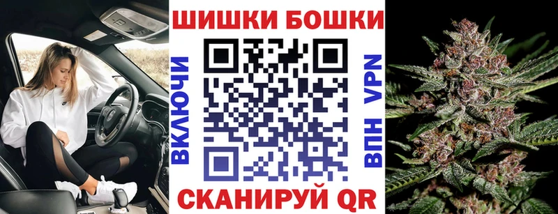 Бошки марихуана гибрид  как найти наркотики  Дубна 